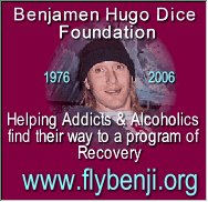If You Want To Stop Using Drugs NA Will Help You!
