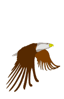 Bengi's Great Grandmother Was Full Blooded Cherokee Indian